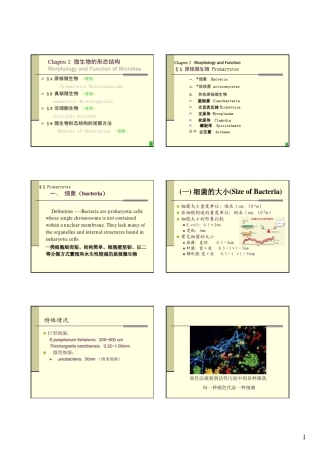 细菌形态特征与结构
