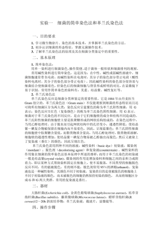 细菌的简单染色法和革兰氏染色法
