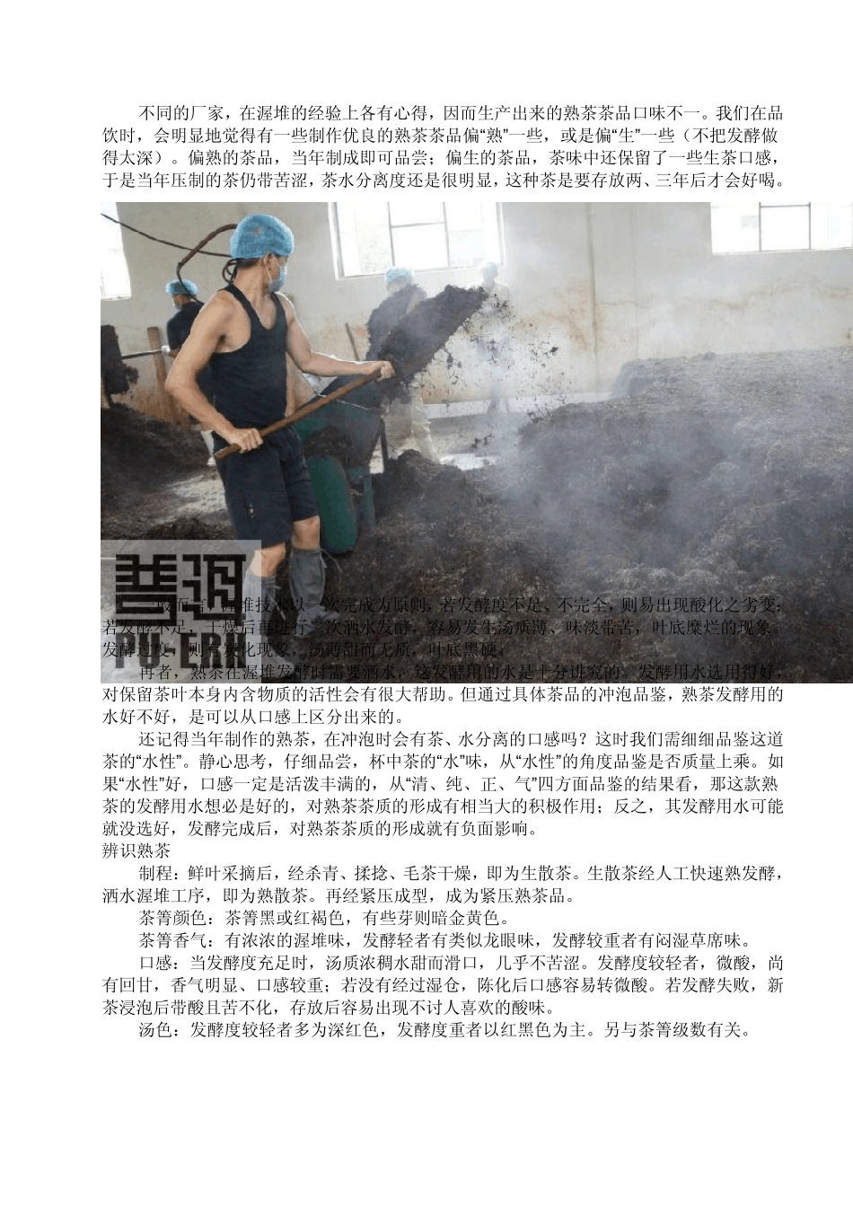 细说熟普洱茶_第3页