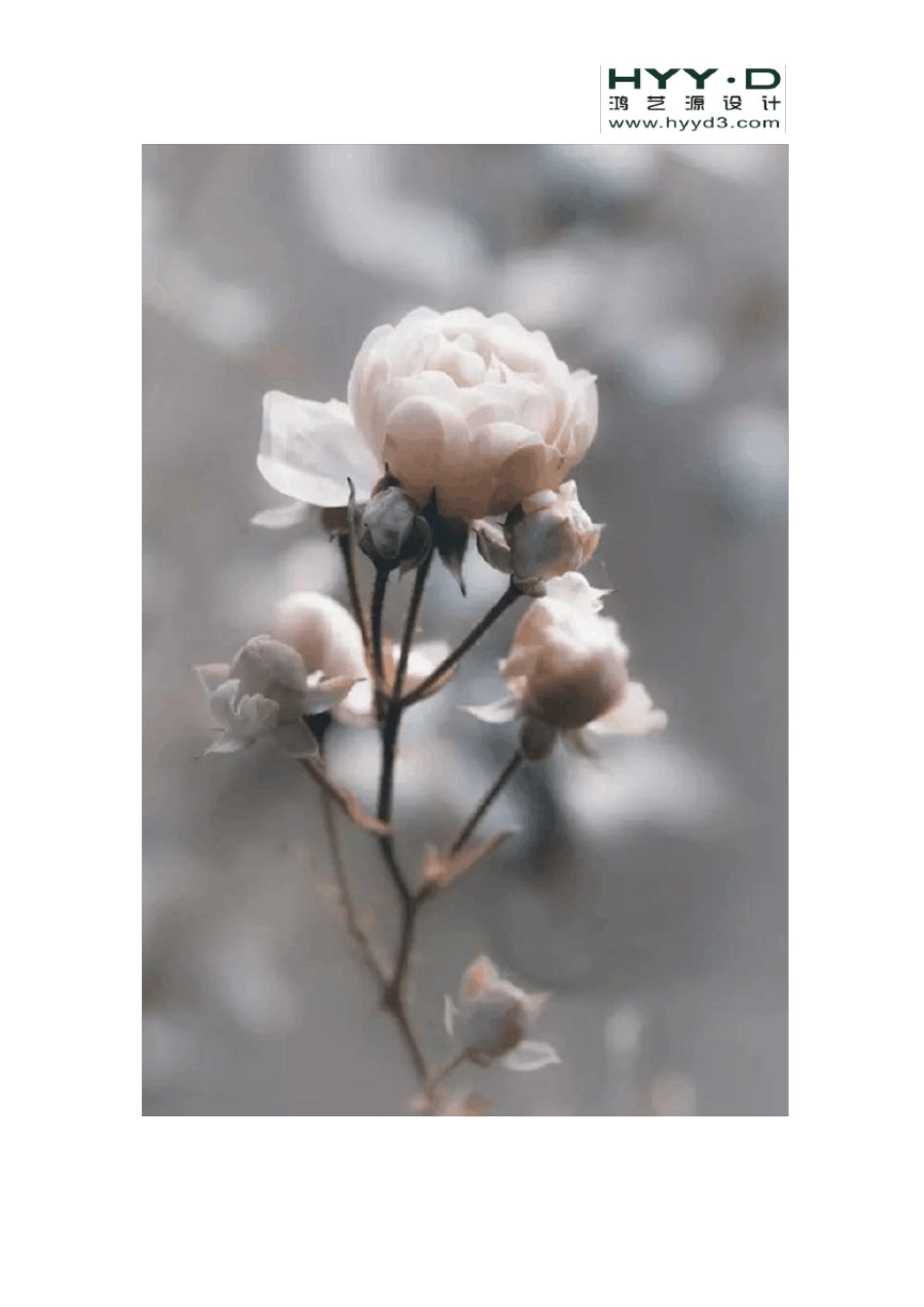 经典的五种高级灰的配色方案!_第3页