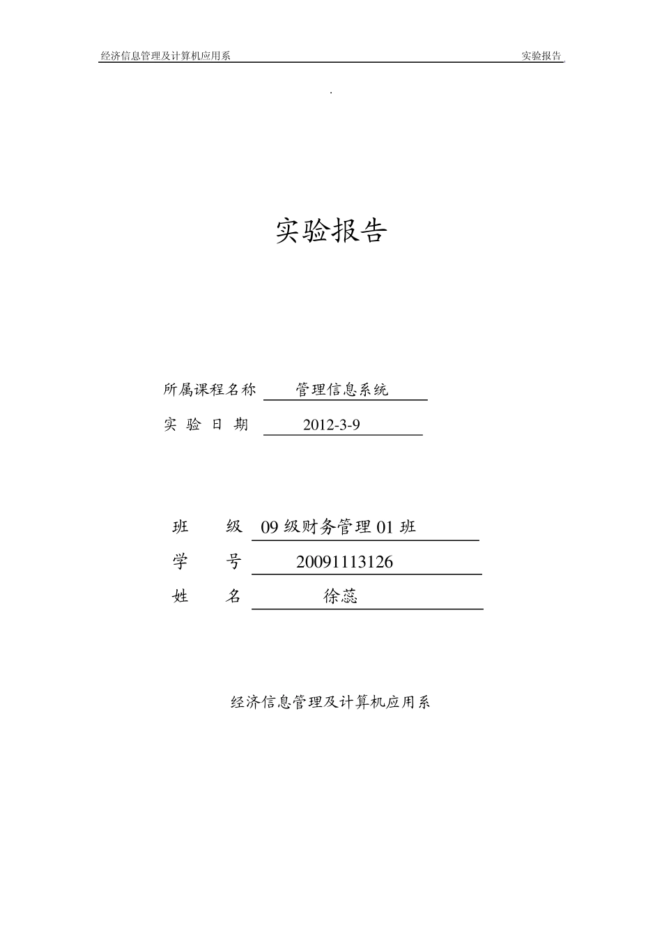 经济系实验报告格式_第1页