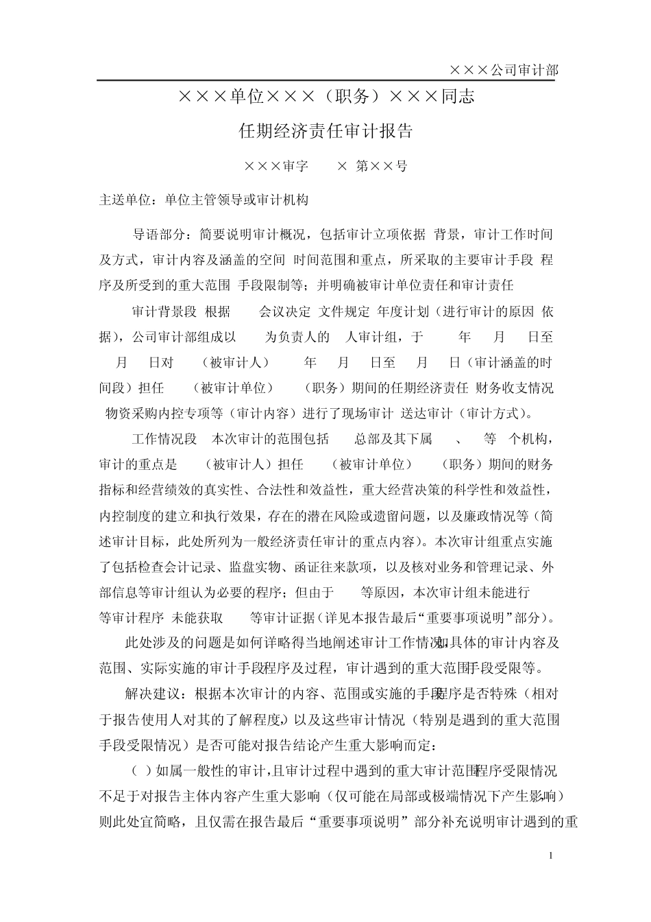经济责任审计报告模版_第1页
