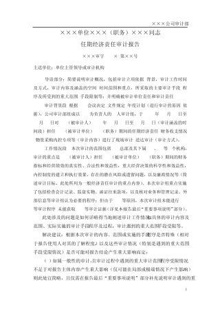 经济责任审计报告模版