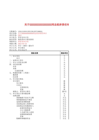 经济责任类审计台账模板