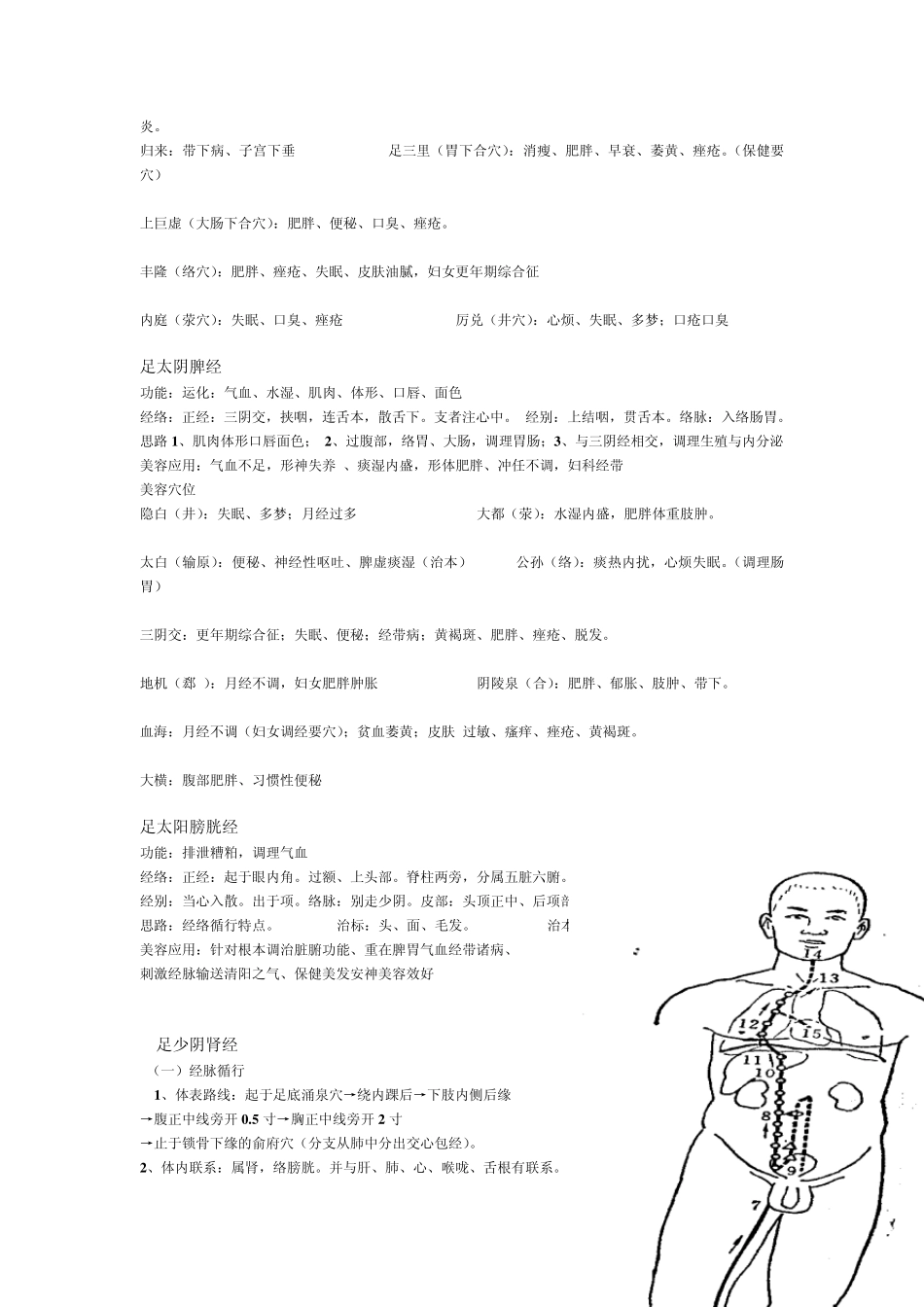 经络美容笔记_第3页