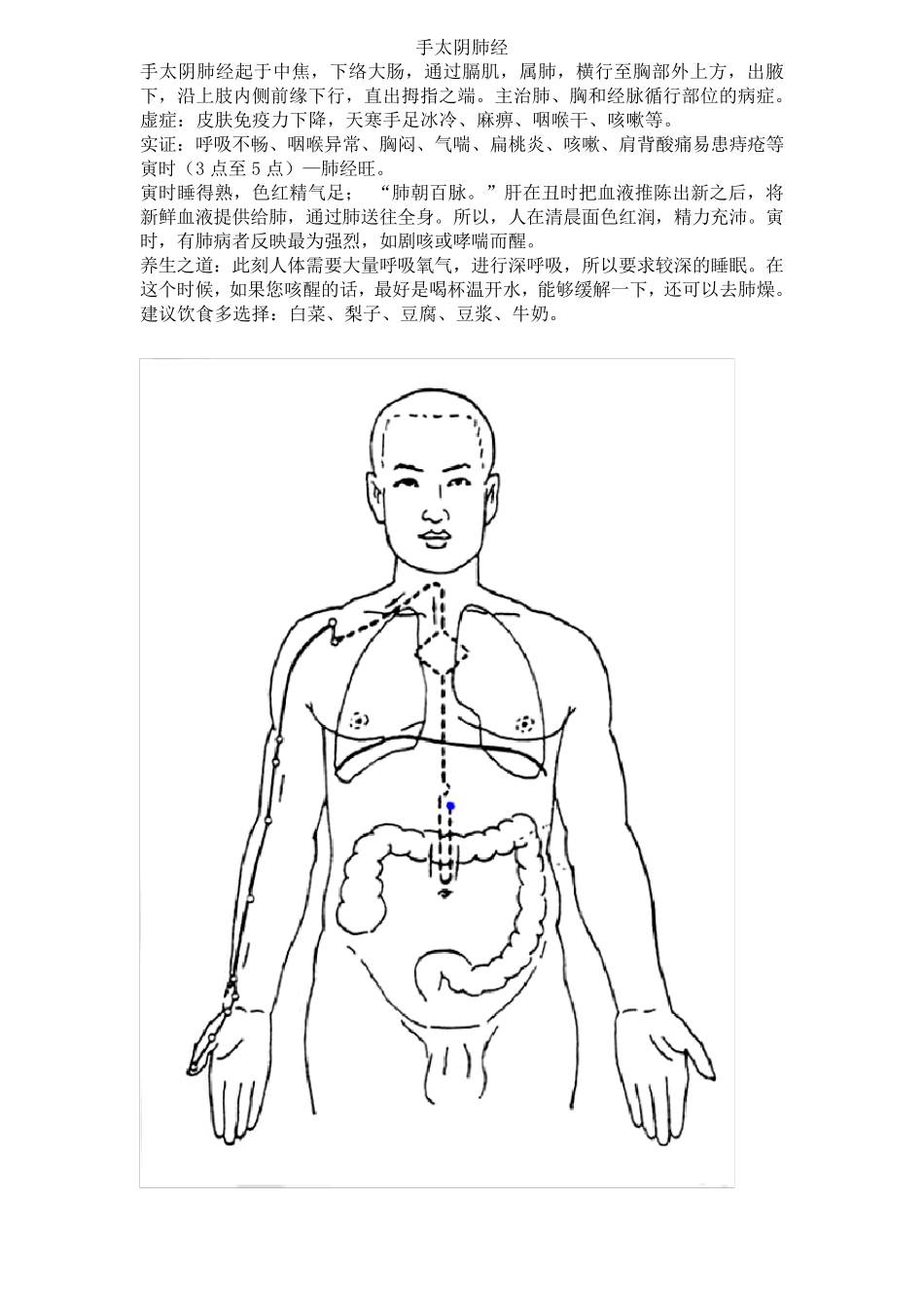 经络走向和图(初级考试用)_第2页