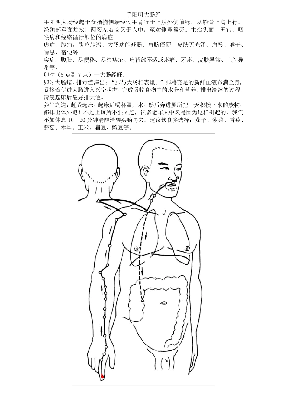 经络走向和图(初级考试用)_第3页