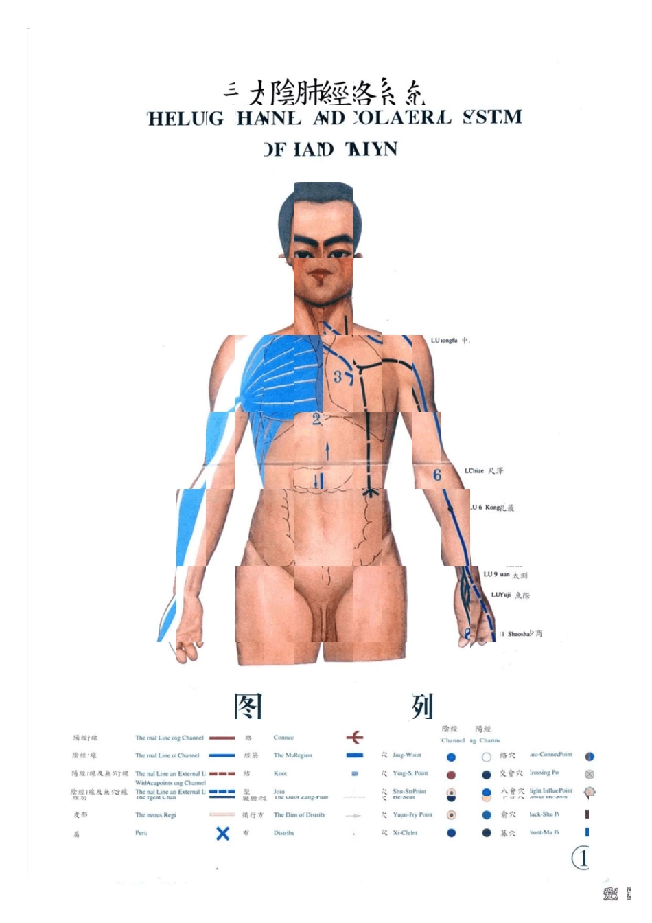 经脉经筋大图()_第1页