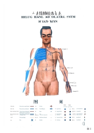 经脉经筋大图()