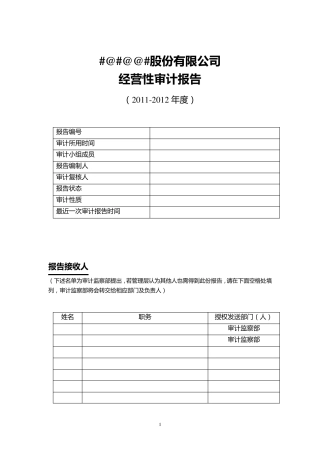 经营审计报告(样式)