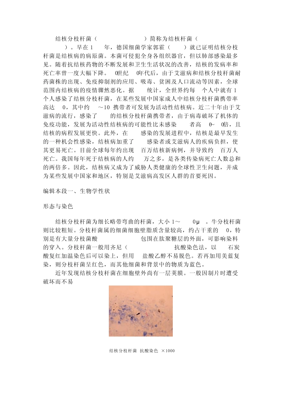 结核分枝杆菌_第2页