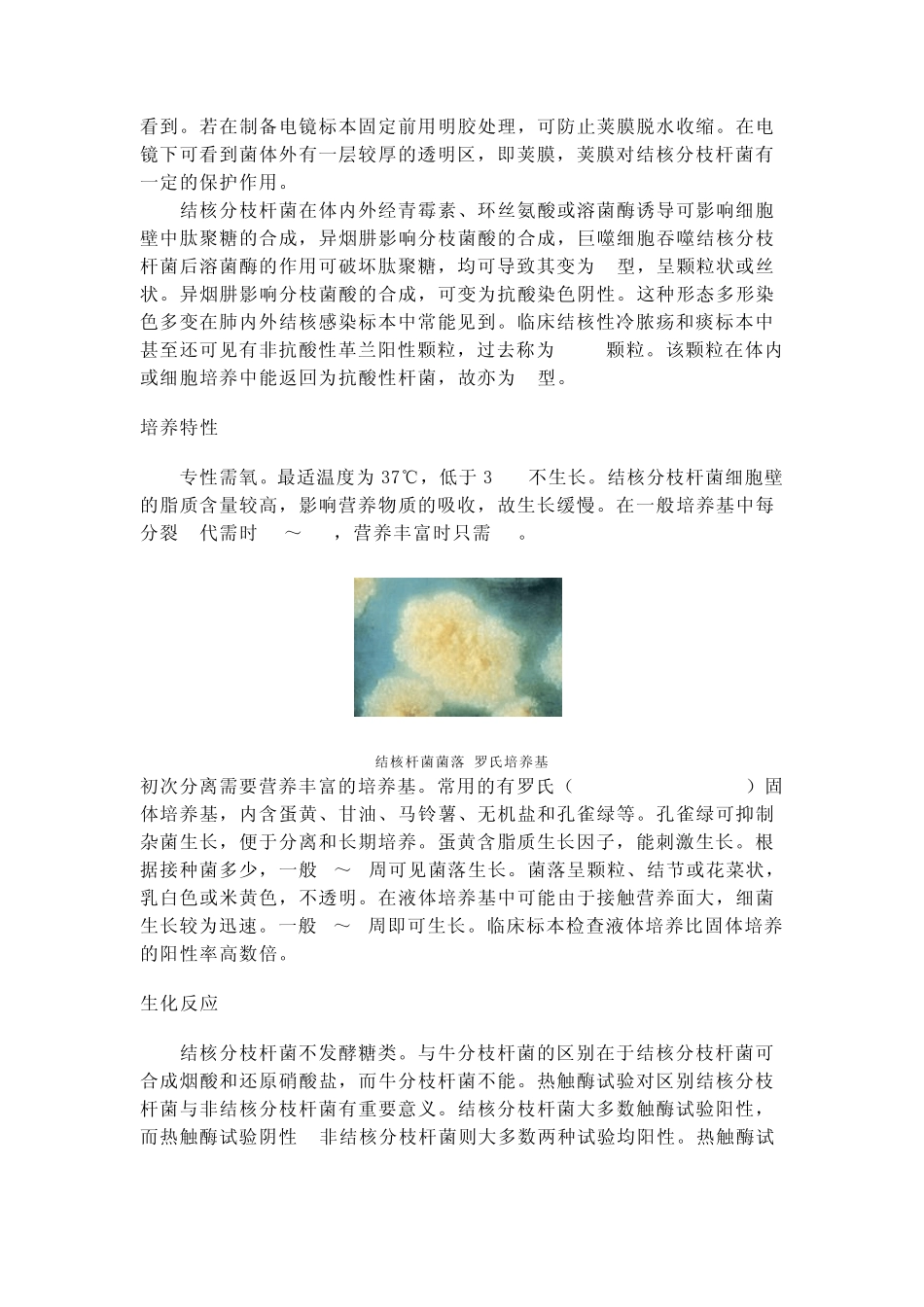 结核分枝杆菌_第3页