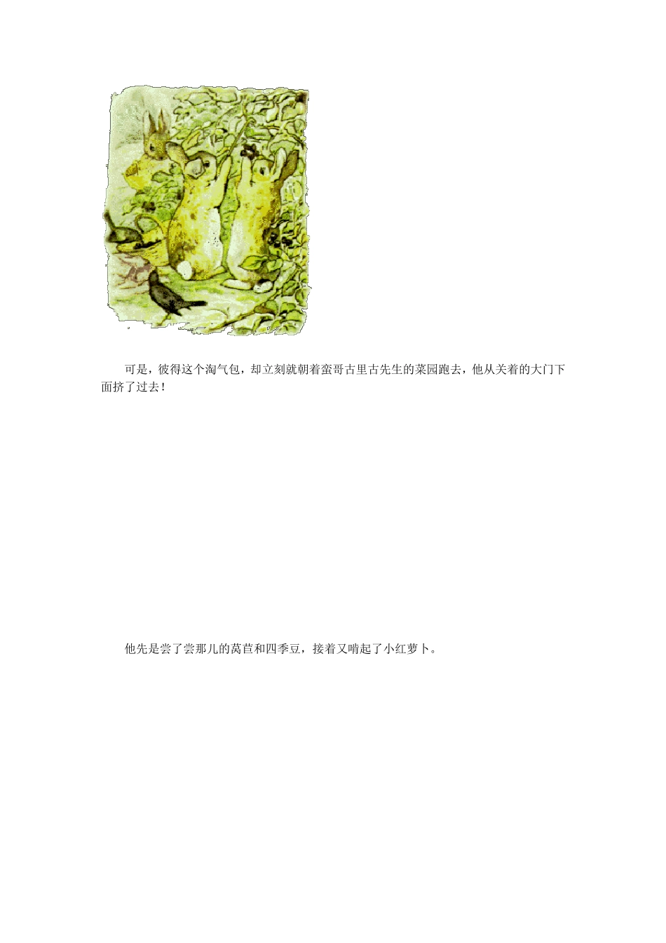 绘本《彼得兔的故事》_第3页
