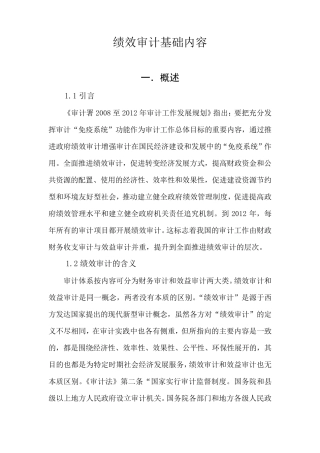 绩效审计基础内容