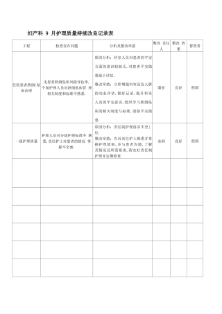 持续改进记录表新编