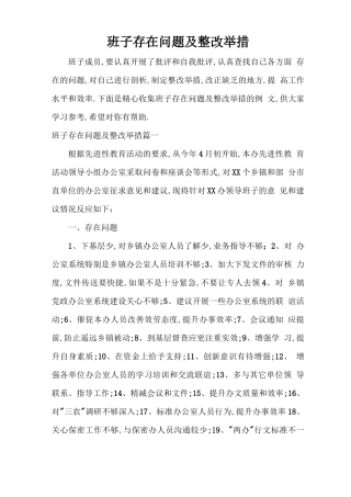 班子存在问题及整改措施