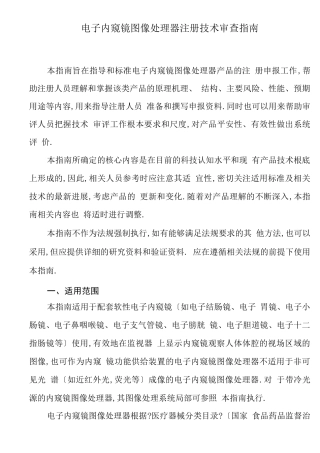 电子内窥镜图像处理器注册技术审查指引