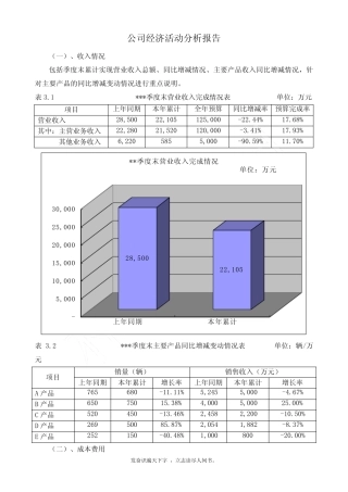 精品word→公司经济活动分析报告
