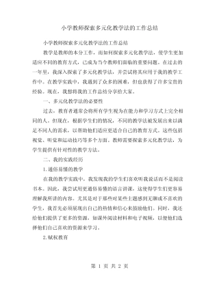 小学教师探索多元化教学法的工作总结