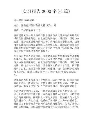 实习报告3000字(七则)