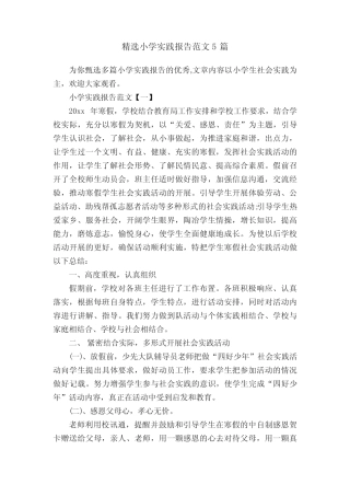 精选小学实践报告范文5则