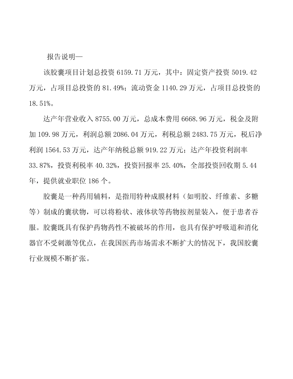 胶囊项目规划设计方案_第2页