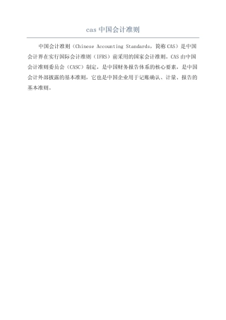 cas中国会计准则