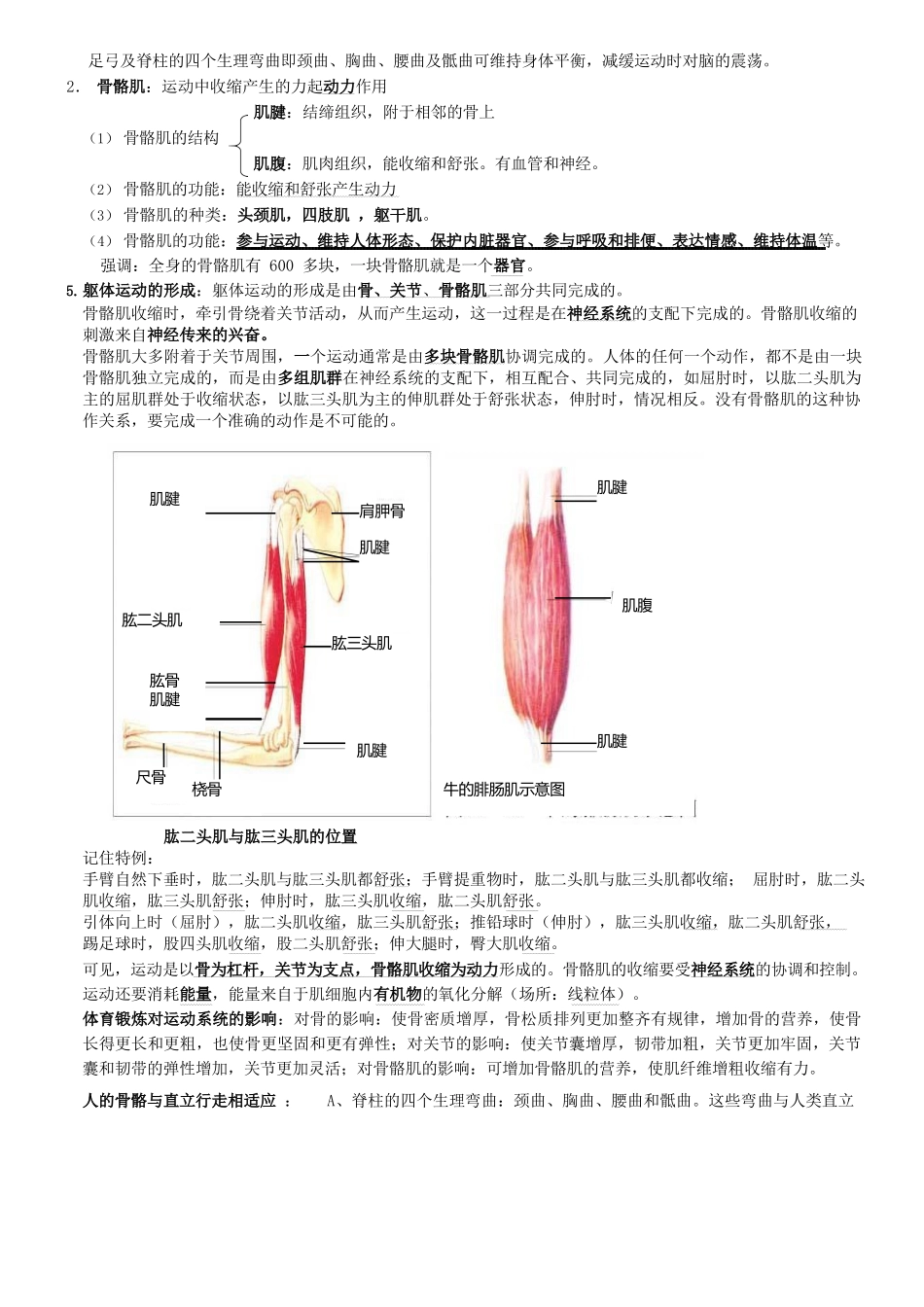 北师大版八上生物复习提纲_第3页