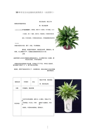 50种常见室内绿化植物介绍