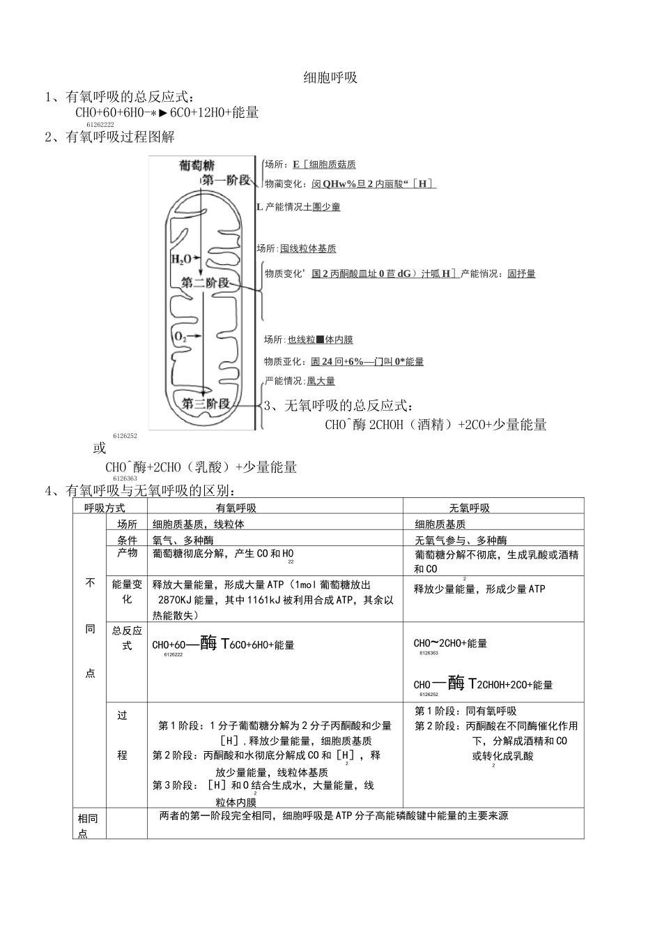 细胞呼吸专题复习_第1页