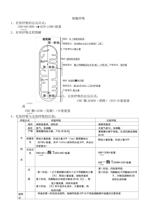 细胞呼吸专题复习