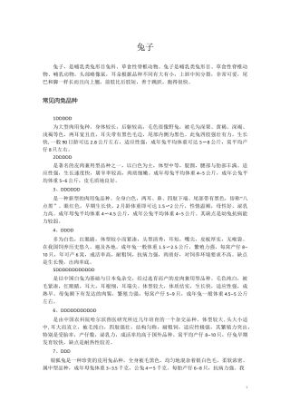 兔子常见兔子的品种