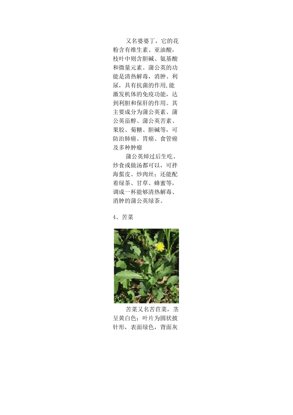 28种常见野菜图_第3页