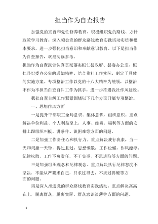 担当作为自查报告