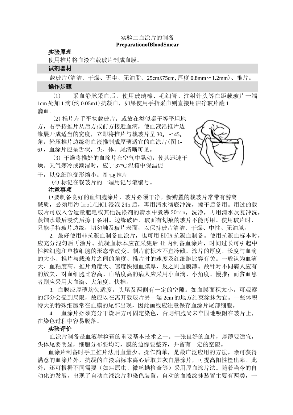 血涂片的制备_第1页