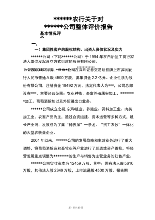 公司整体评价报告范本