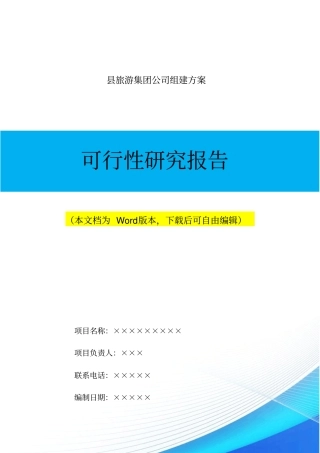 旅游集团公司组建方案可行性研究报告