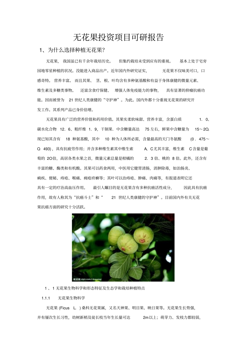 无花果项目讲解_第1页