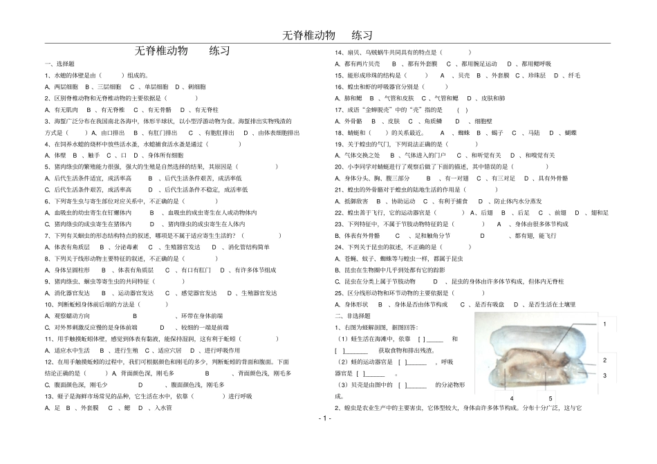 无脊椎动物练习题_第1页