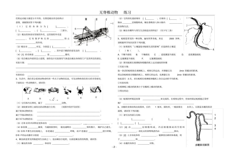 无脊椎动物练习题_第2页