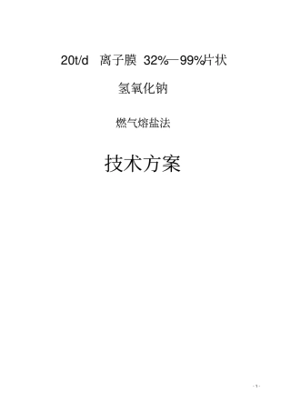 日产20吨片碱方案资料