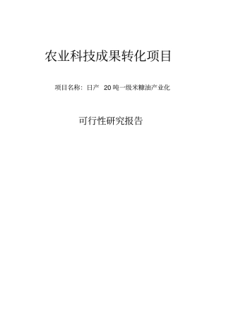 日产20吨一级米糠油可行性研究报告