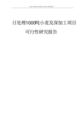 日处理1000吨小麦及深加工项目可行性研究报告