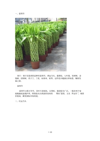 旺财旺家的种植物家宅兴旺植物的选择