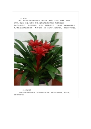 旺财旺家的28种植物汇总