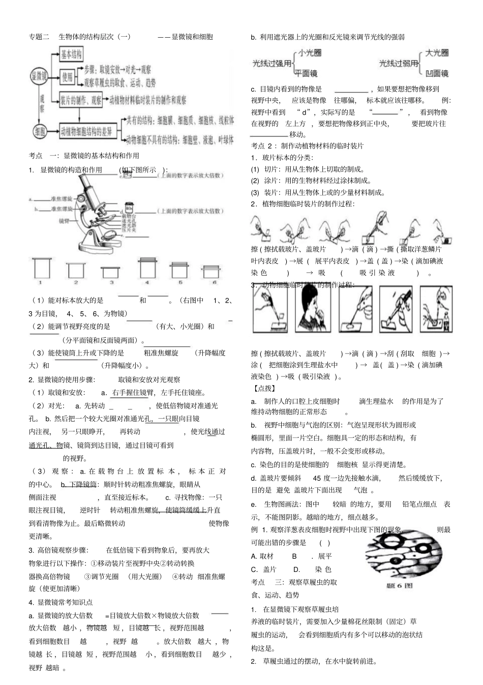 昆十二中初中生物中考复习学案：专题二生物体的结构层_第1页
