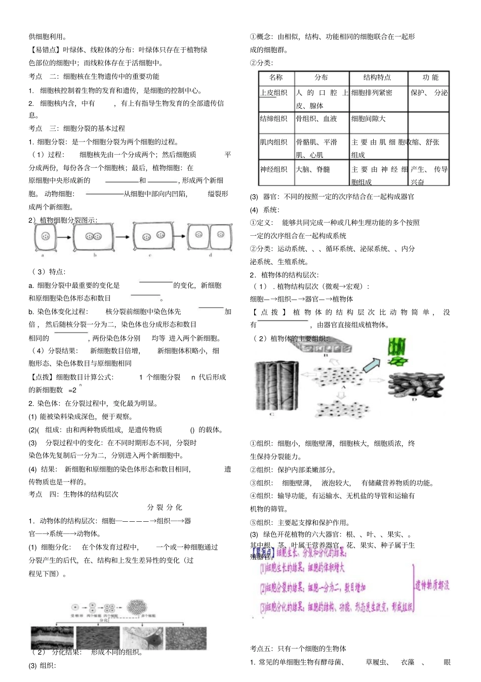 昆十二中初中生物中考复习学案：专题二生物体的结构层_第3页