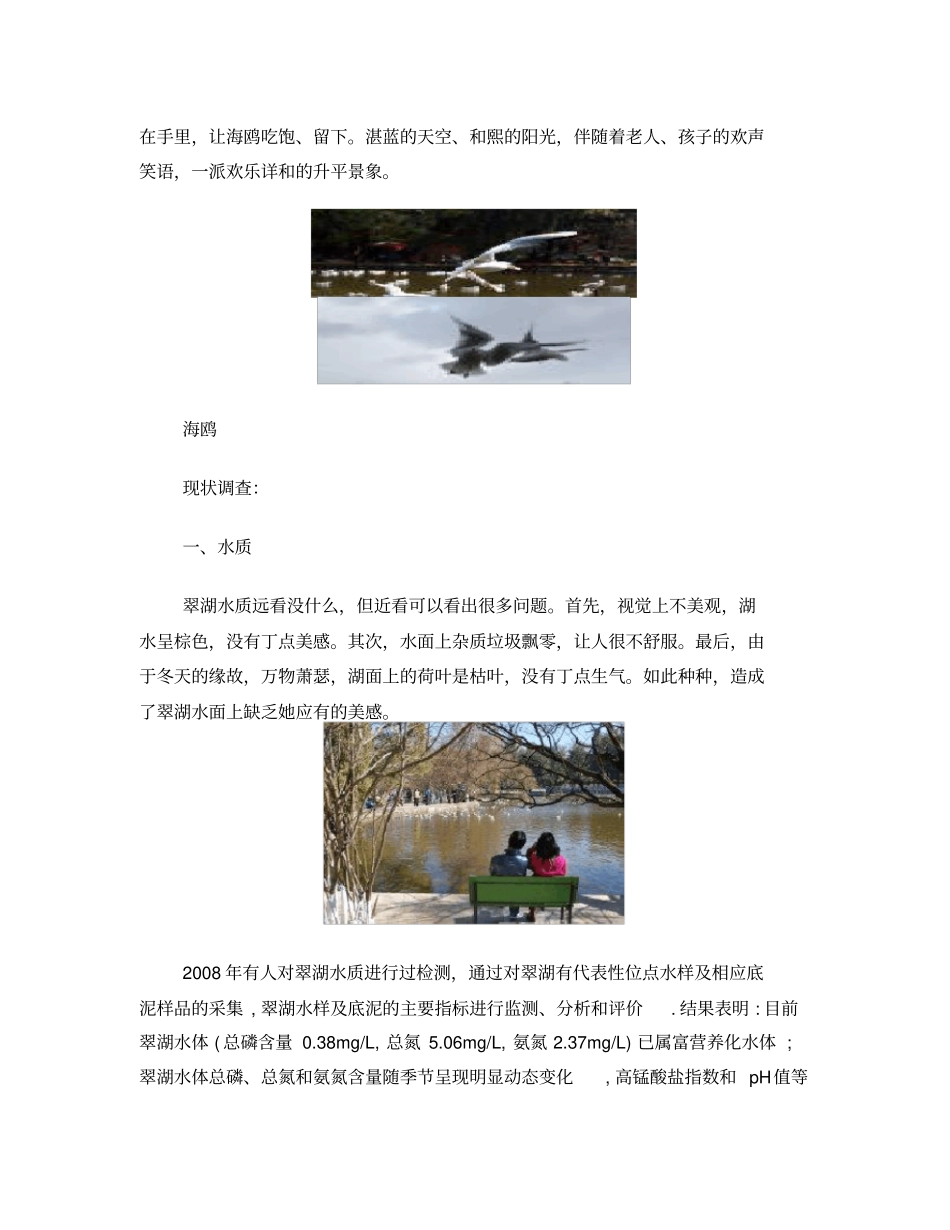昆明翠湖周边环境现状分析_第3页