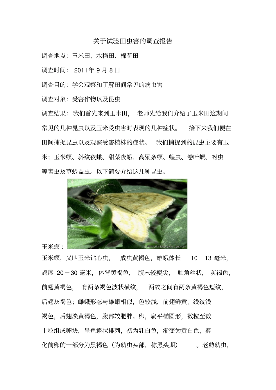 昆虫调查报告刘晓东_第1页