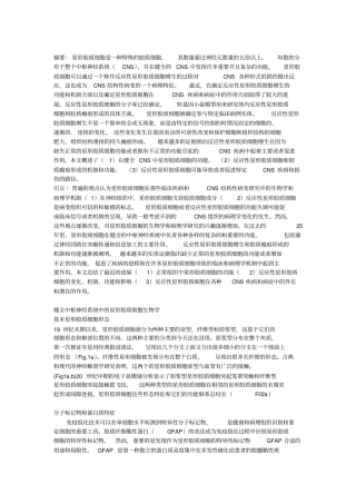 星形胶质细胞：生理及病理